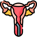 endometrial